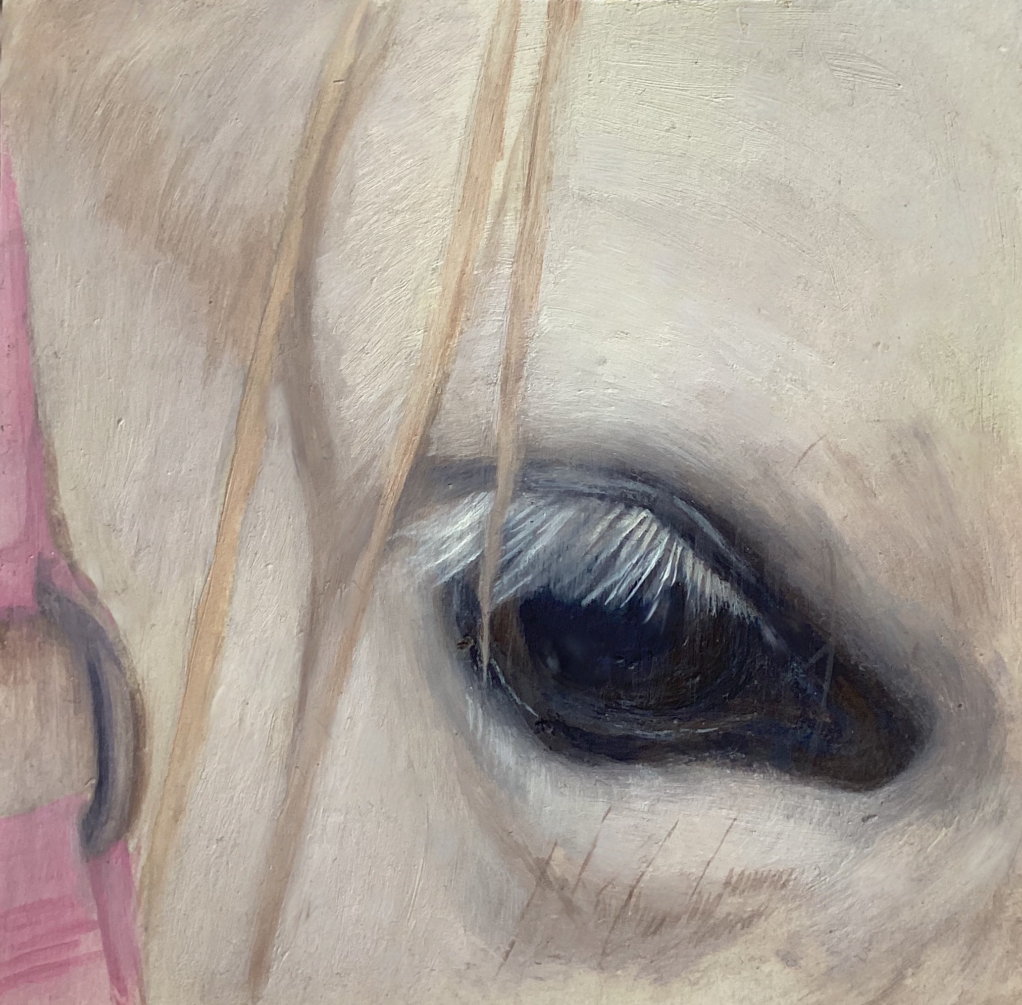 Gaze