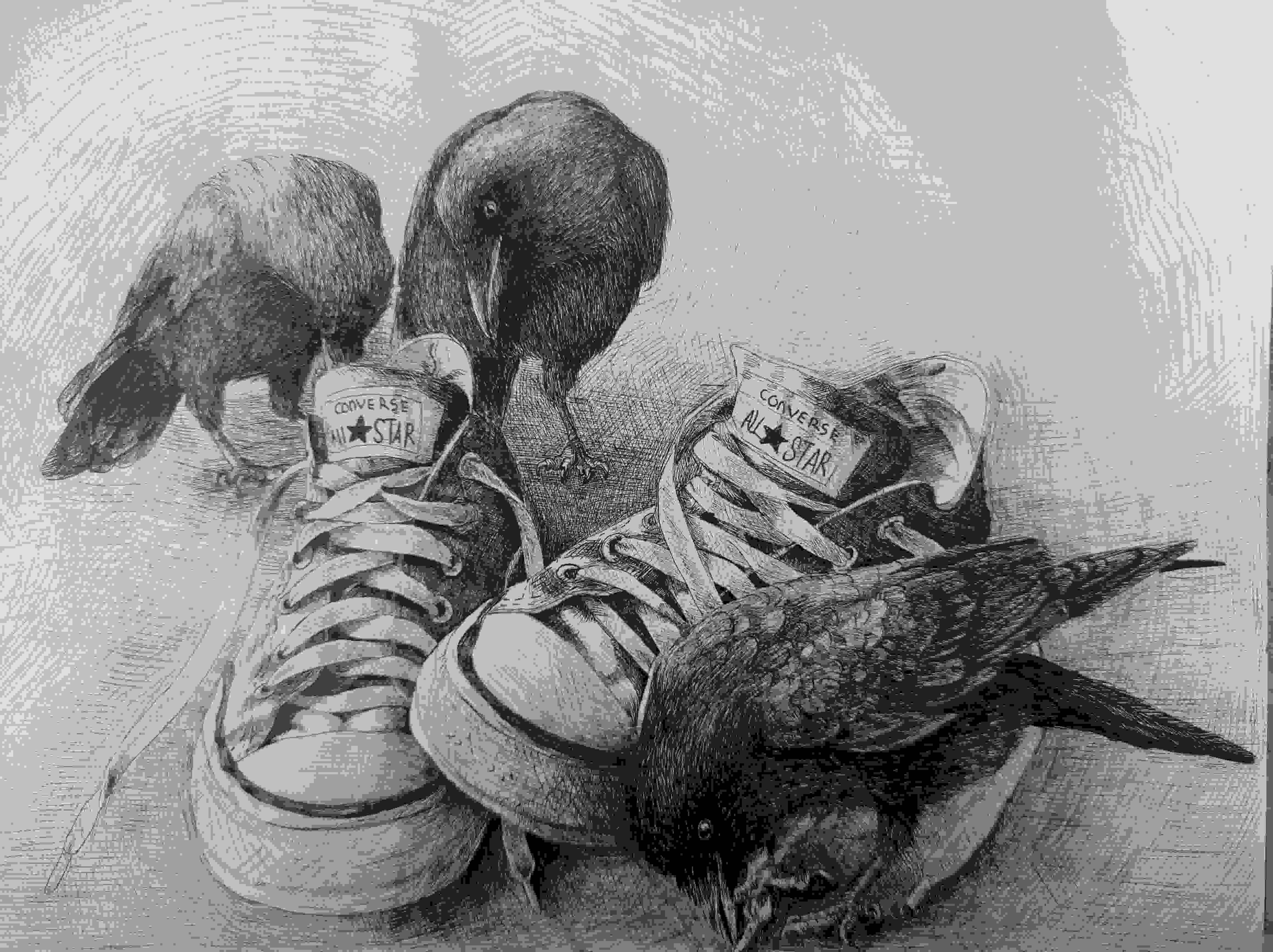 man and Raven