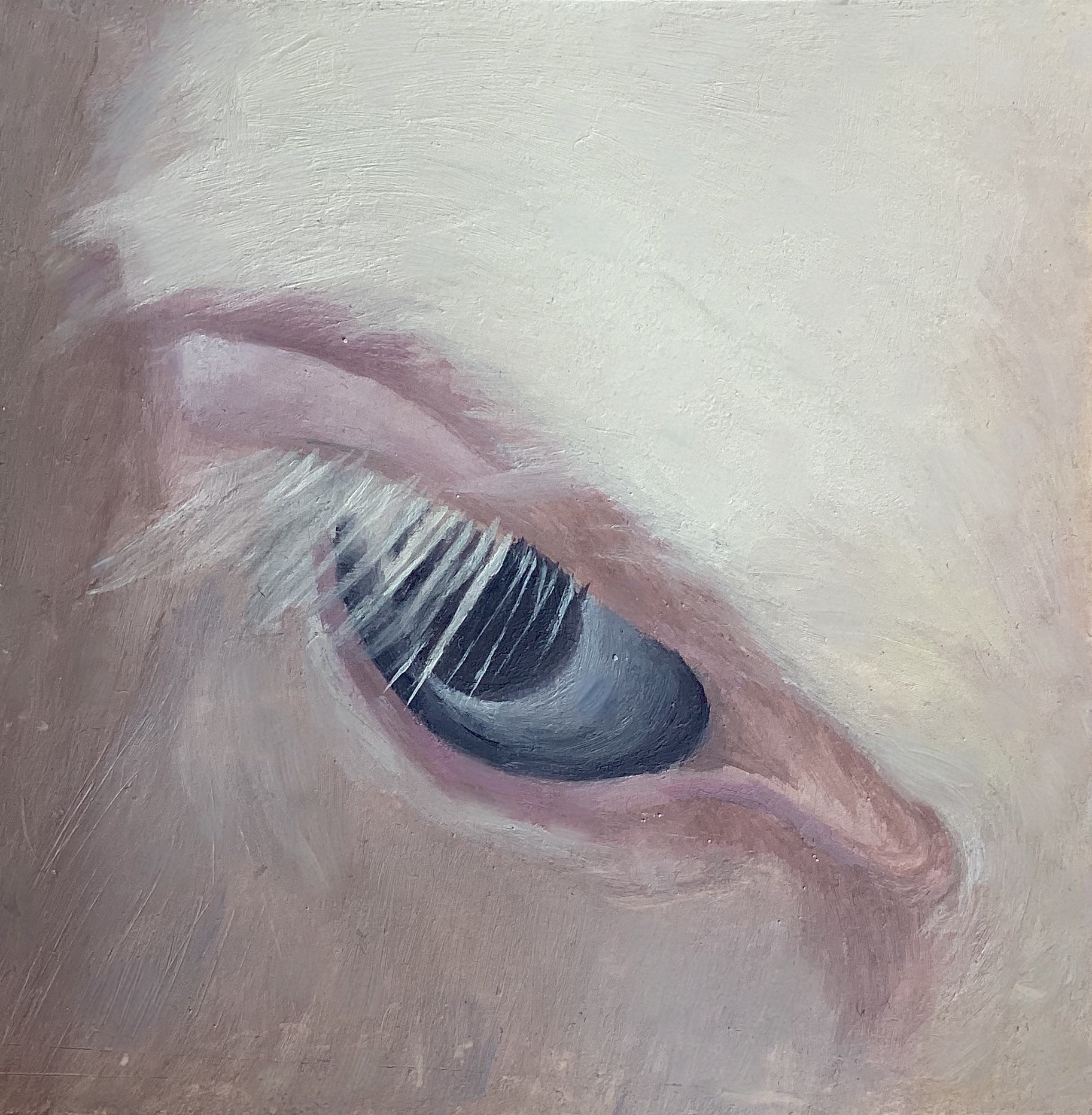 Gaze